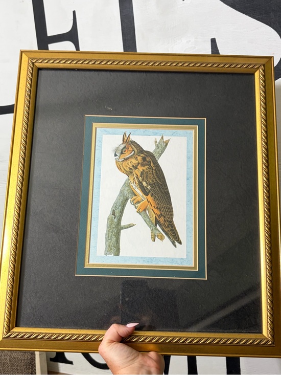 Audubon Other - 18x18 Audubon Framed Vintage Owl Bird Print in Gold Frame